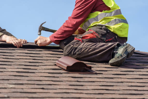 Best Roof Gutter Cleaning  in Enigma, GA